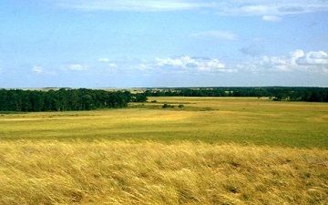 КГП «Наурзумская ЦРБ» - Наурзумский р-н