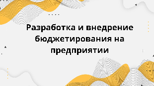 Разработка и внедрение бюджетирования на предприятии