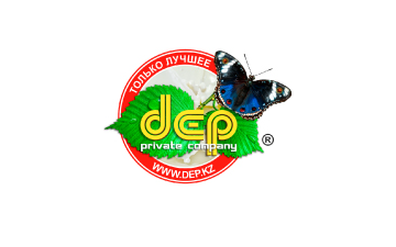 ТОО «ДЕП»