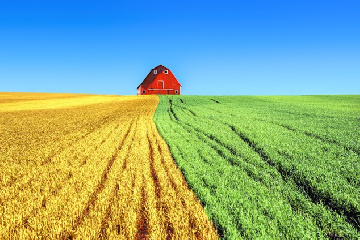 ТОО "Карлыгаш" - Карабалыкский р-н