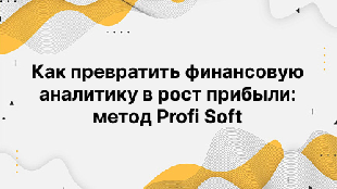 Как превратить финансовую аналитику в рост прибыли: метод Profi Soft