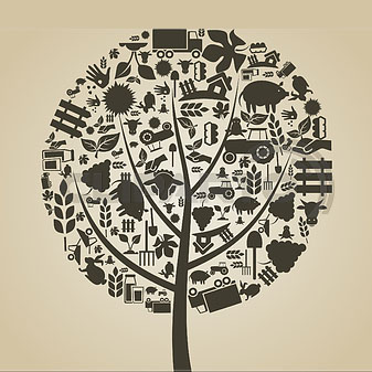 $arSection['PICTURE']['ALT']