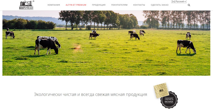 сайт визитка компании фото